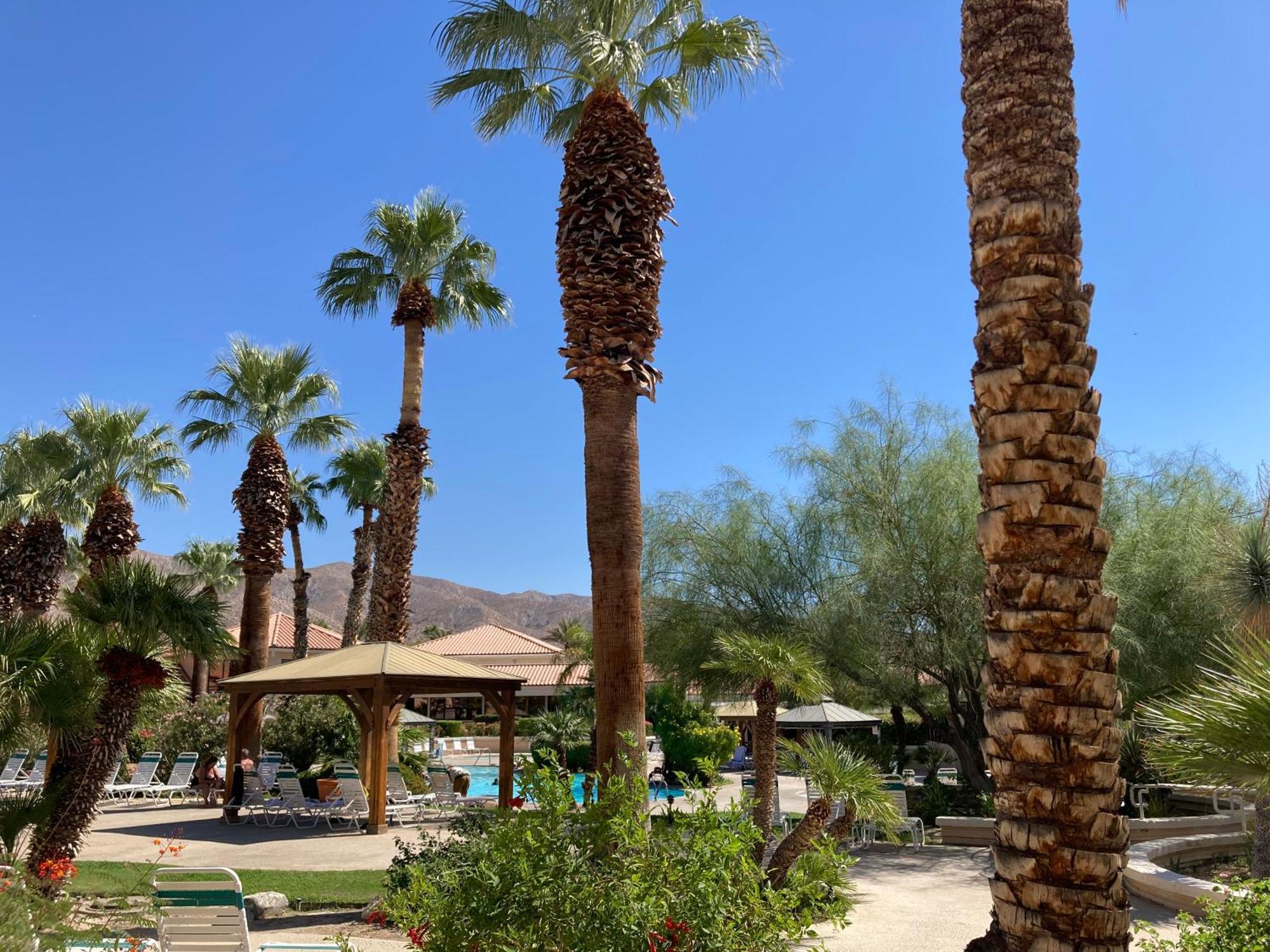 Miracle Springs Resort And Spa Дезерт-Гот-Спрінґс Екстер'єр фото